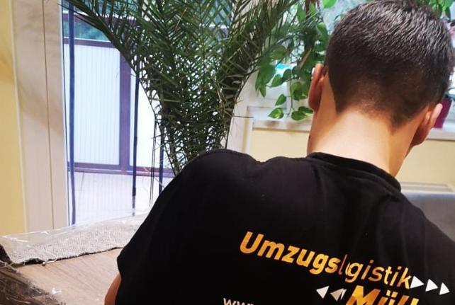 Behördenumzug Preise und Kosten Ostritz